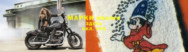 спиды Зеленокумск