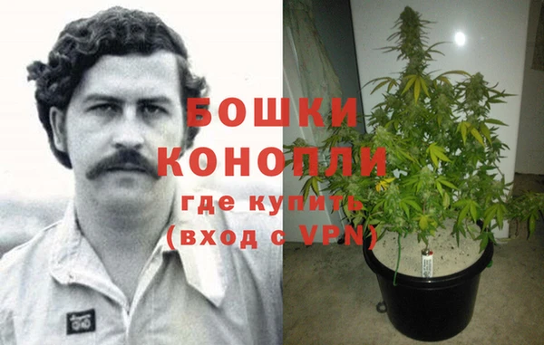 PSILOCYBIN Дмитров