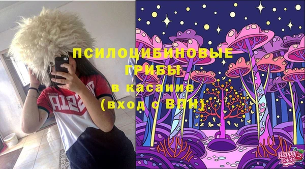 PSILOCYBIN Дмитров